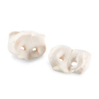 Noski wieprzowe białe